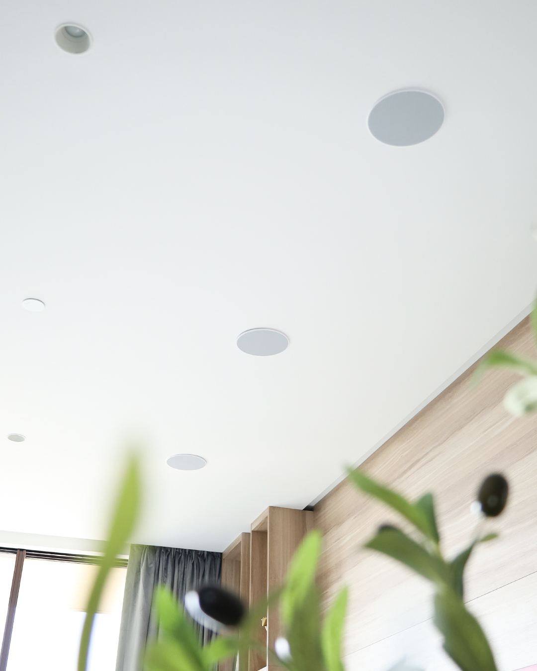 In-ceiling Artsound speakers in an Atlantis apartment living area ceiling with greenery in foreground