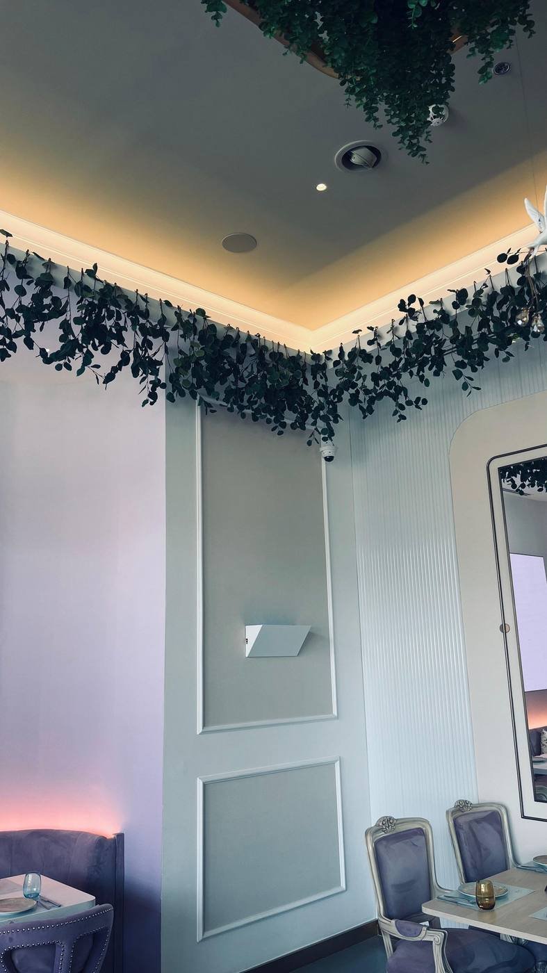 In-ceiling speaker in a restaurant dining area with hanging greenery and decorative bird sculptures